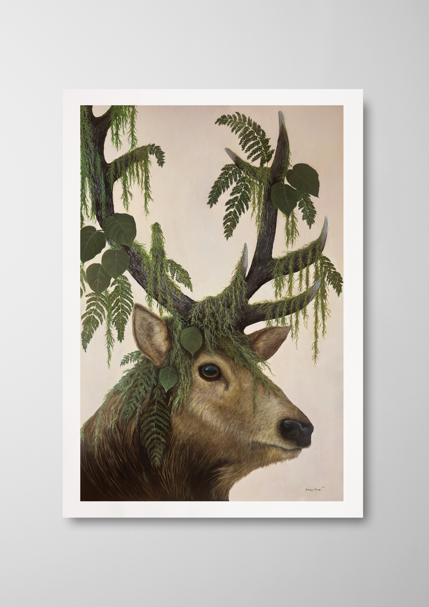 'Moss & Bone' - Print