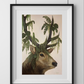 'Moss & Bone' - Print