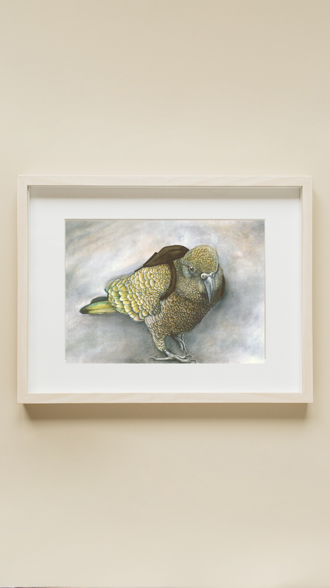 NZ Native Kea Wearing a Back Pack Mixed Media Print