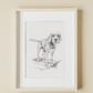 Pet Portrait Commission