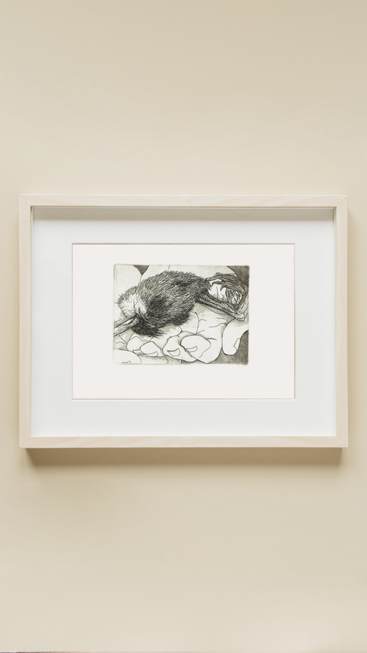 Protected too late - Bird leg held in hands Intaglio Print