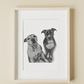 Pet Portrait Commission